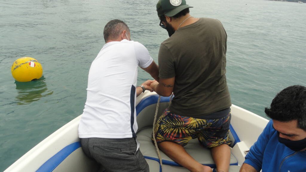 Categoria de Amadores