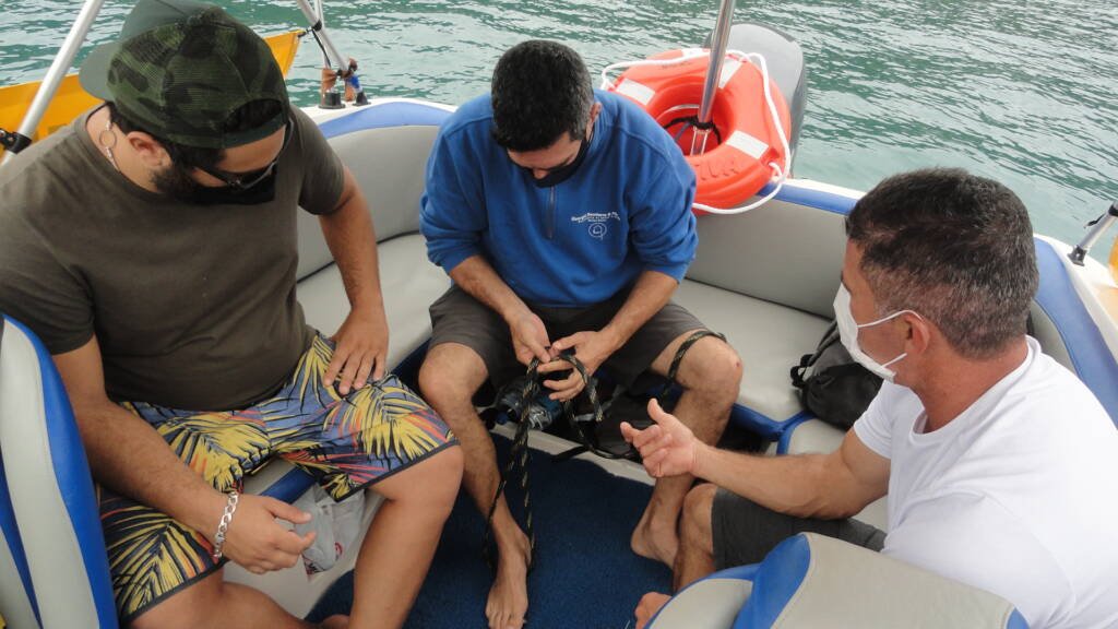 Categoria de Amadores