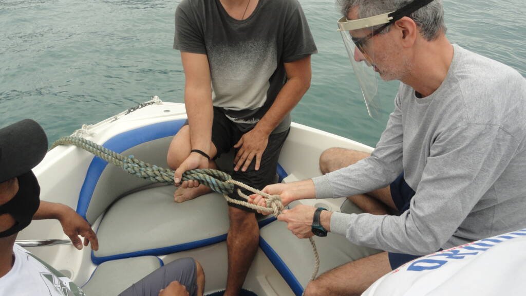 Categoria de Amadores