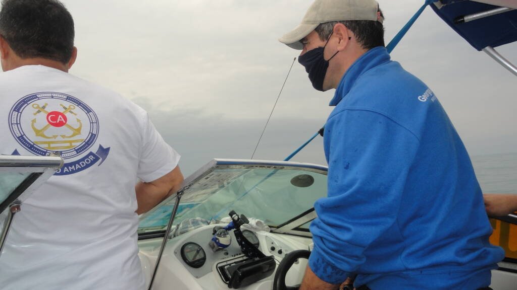 Categoria de Amadores