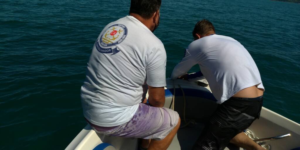 Categoria de Amadores