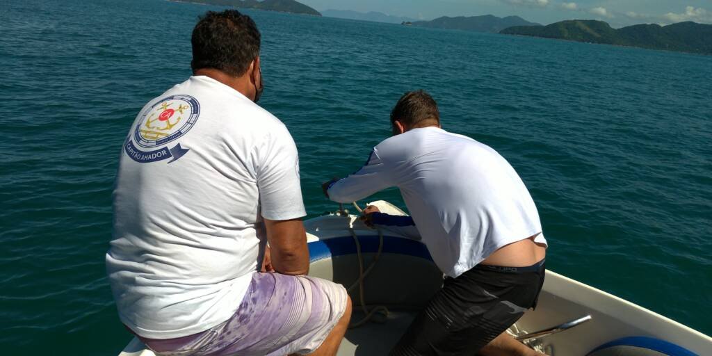 Categoria de Amadores