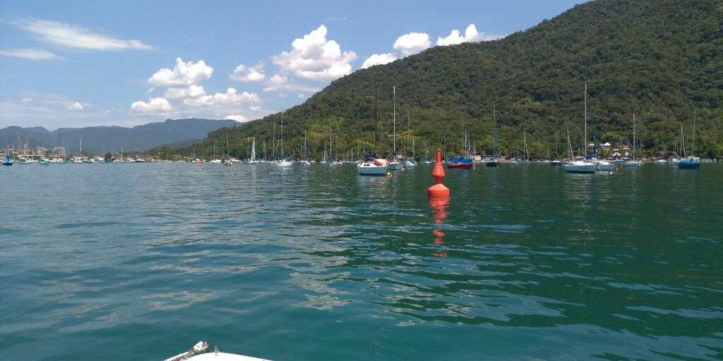 Categoria de Amadores