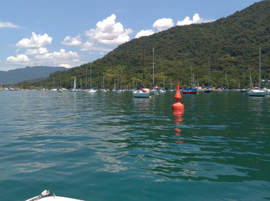 Categoria de Amadores