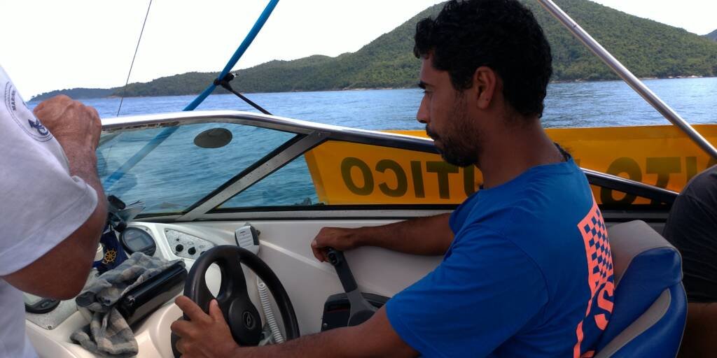 Categoria de Amadores