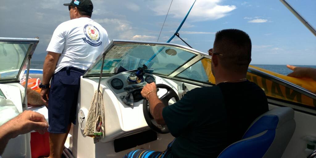 Categoria de Amadores