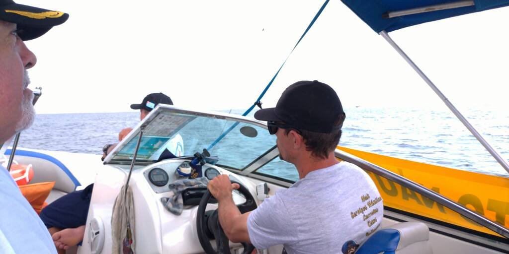 Categoria de Amadores