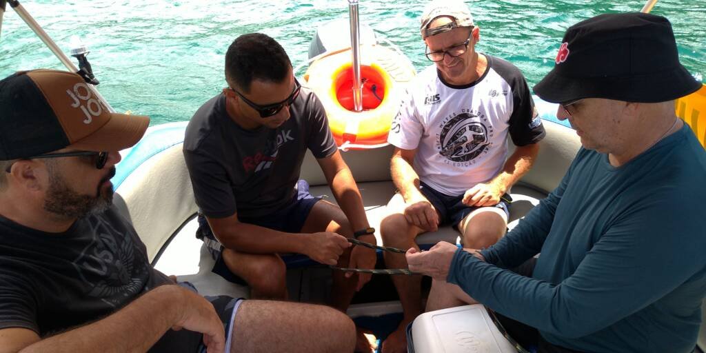 Categoria de Amadores